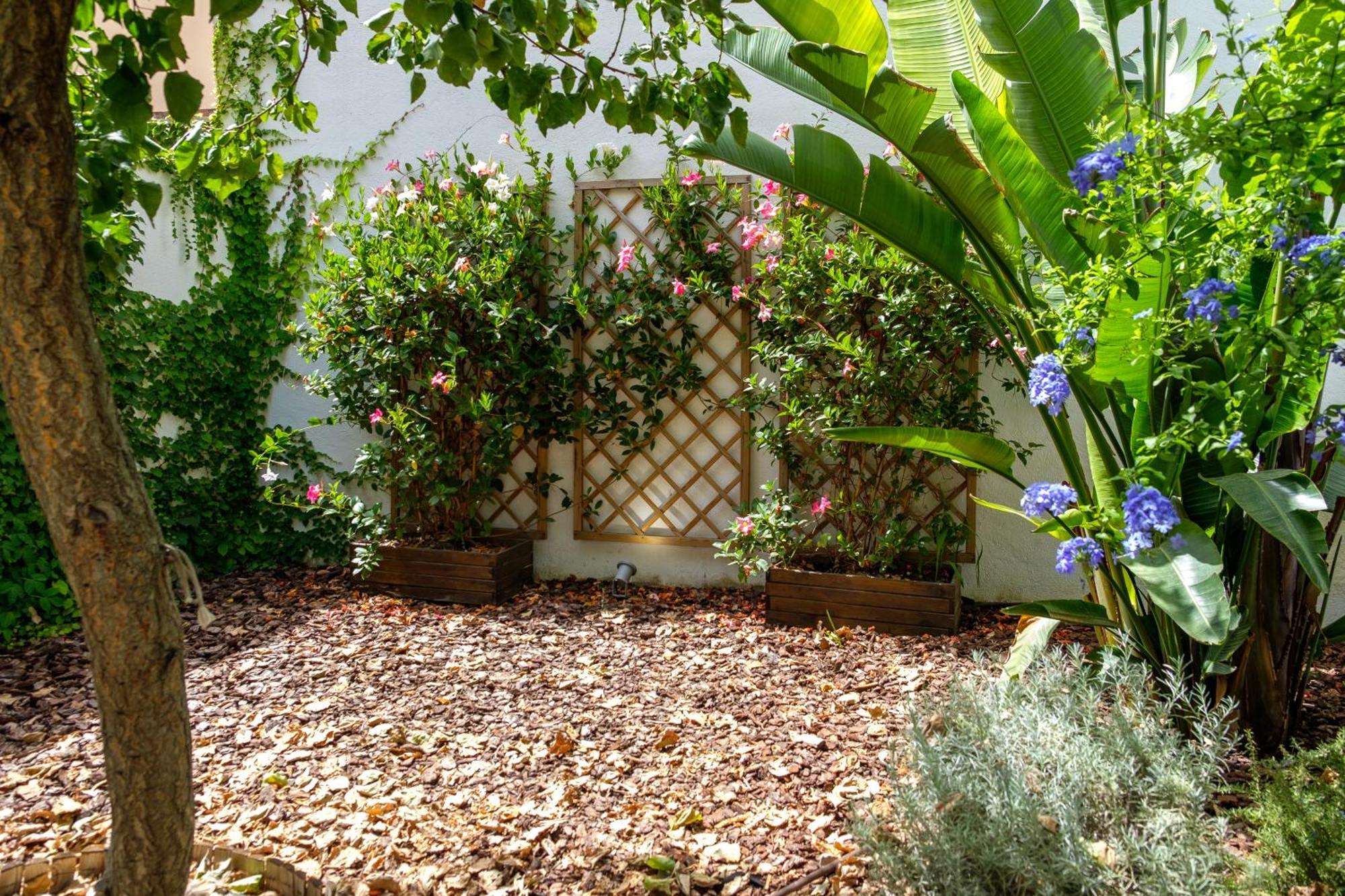 Pretty House Sa Font In Santa Catalina Palma City エクステリア 写真